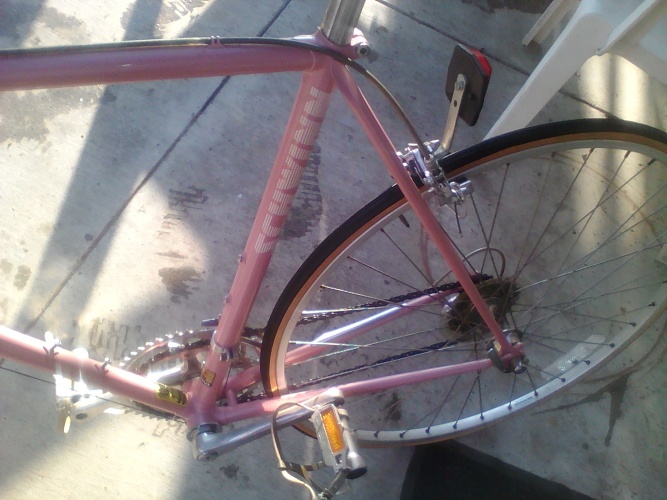 88 Schwinn Road Bike 88 Schwinn Road Bike