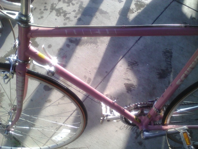 88 Schwinn Road Bike 88 Schwinn Road Bike